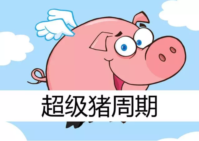 2019年下半年豬價預測：7、9月兩次大漲，第四季度將達到頂峰